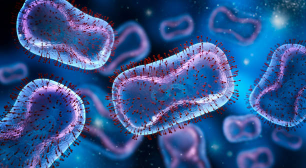 Vaistams atsparios bakterijos ir virusai: kaip su jais kovoti?
